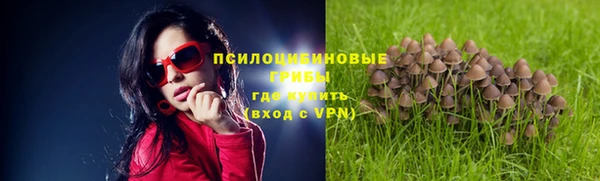 хмурый Алексеевка
