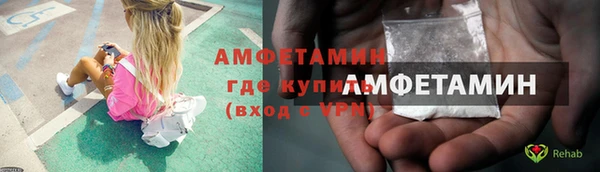 трава Сатка