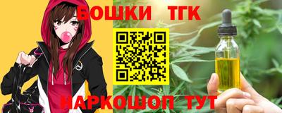 СК Гагарин
